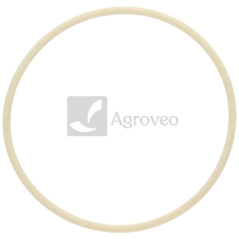 Pierścień uszczelniający 38006946 01171243, 01180084, 01166111, F100001171243