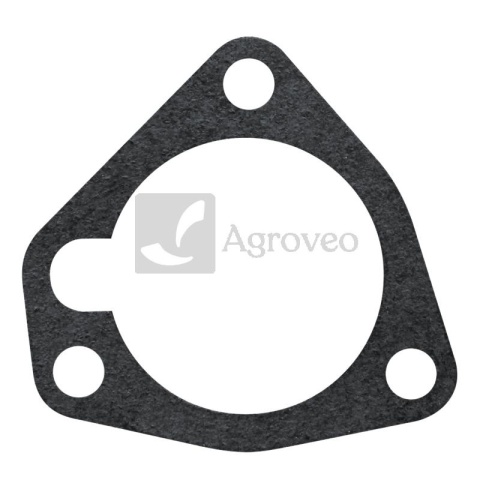 Uszczelka 38015765 3641884M1