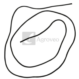 Uszczelka pokrywy zaworów 38012412 6005012892, R106796