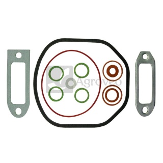 Zestaw uszczelek 38004287 02910165, 004.139