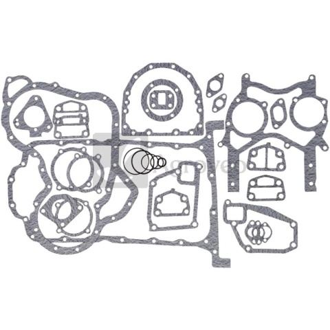 Zestaw uszczelek 38015769 4224457M91