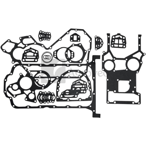 Zestaw uszczelek 38015770 4224699M91