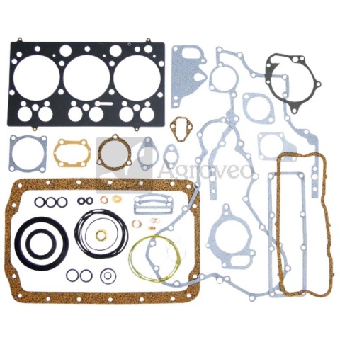 Zestaw uszczelek 38022024 836640356, T5560