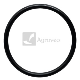 Oring 38002776 3055389R2