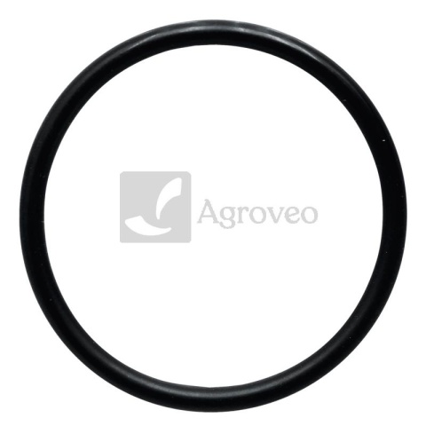 Oring 38002776 3055389R2