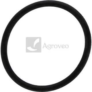 Oring 38006371 F816200710040