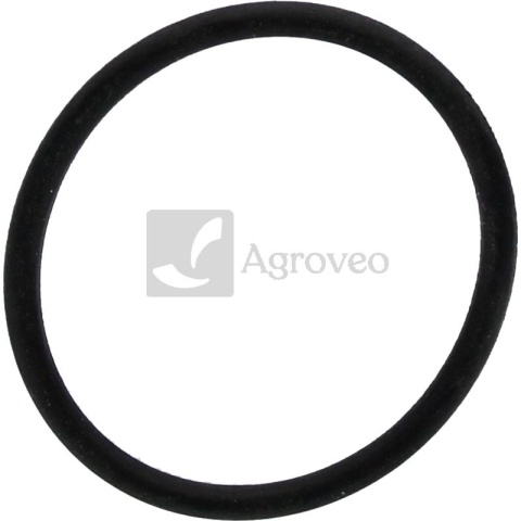 Oring 38006371 F816200710040