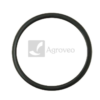 Oring 38012405 R123273