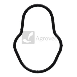 Oring 38017825 2830156