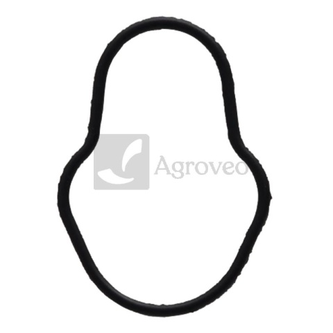 Oring 38017825 2830156