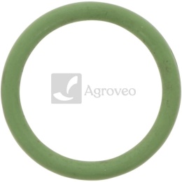 Pierścień uszczelniający 37406060 01182897, F339202710270
