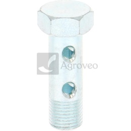 Śruba drążona 374205104/10