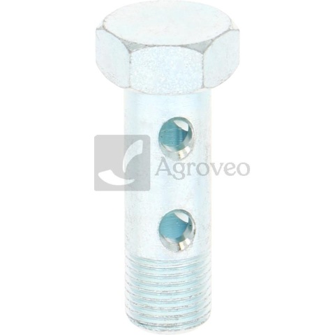 Śruba drążona 374205104/10