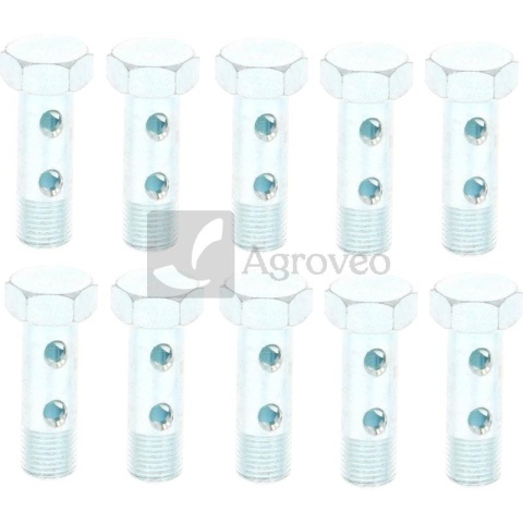 Śruba drążona 374205104/10