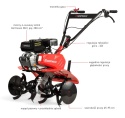 Glebogryzarka spalinowa HORTMASZ HGS ST 255 HS208