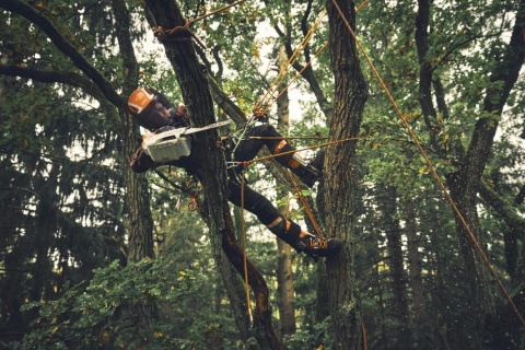 Pilarka akumulatorowa STIHL MSA 190 T