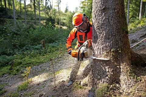 Pilarka spalinowa STIHL MS 362